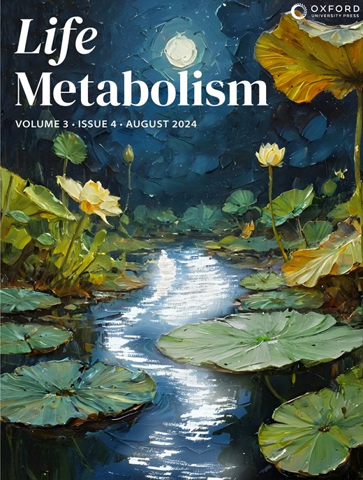 manuscript.issue,27